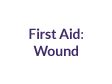 First Aid for Wounds: View the animation to learn how to stop bleeding and care for a wound.